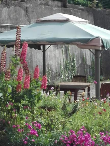 La Torretta bed&breakfast Torriglia Exteriör bild